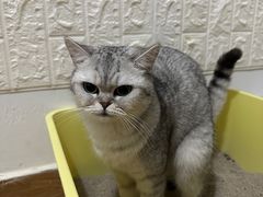 -奈雪的茶(松江万达店)