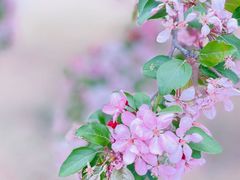 -国家植物园
