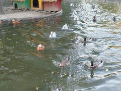 -北京市海淀外国语实验学校