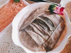 -二荆条·蜀鲜汇城市森林火锅