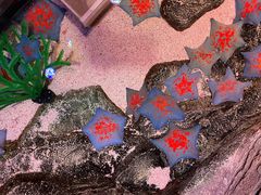 -沈阳海洋探索中心