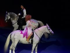 -珠海横琴长隆《卡卡虎奇遇记》