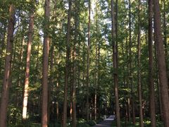 -上海怡沁园度假酒店