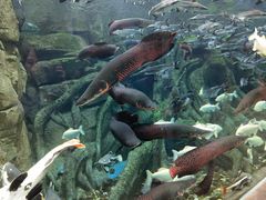 -波塞冬旅游度假区