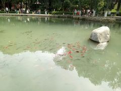 -水磨沟公园
