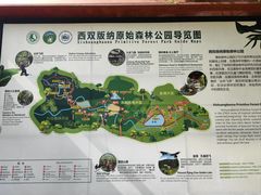 -西双版纳原始森林公园