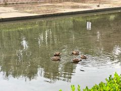 -元大都城垣遗址公园