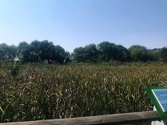 -西湖风景区-江洋畈生态公园