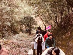 -宁波五龙潭景区