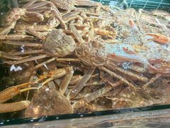 -丰卓会海鲜自助(中润大道店)
