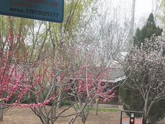 -永定河休闲森林公园