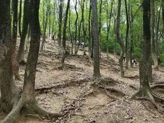-灵岩山风景区