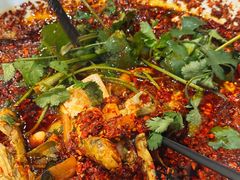 -胖大姐黄辣丁鱼庄(新津店)