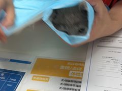 -伟伟宠物医院·CT影像中心·瑞派犬猫综合性门诊(汉口总院)