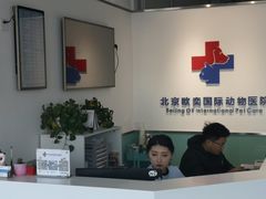 -欧奕国际动物医院