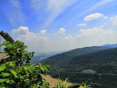 -铁山坪森林公园