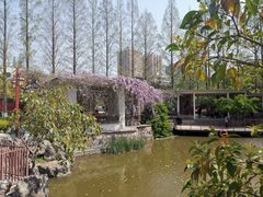 -郑和公园