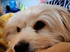 -畜牧兽医站(共江路店)