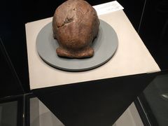 -北京周口店北京人遗址博物馆