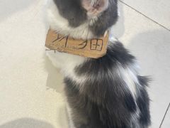 -怪兽屋·羊驼·猫咖·狗咖(俊华广场店)