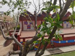 -呀路古热带植物园