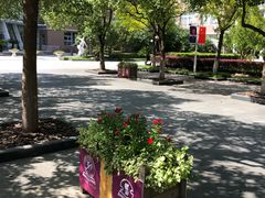-上海市实验学校
