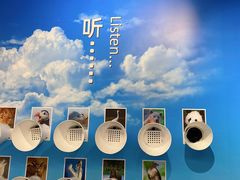 -中国湿地博物馆