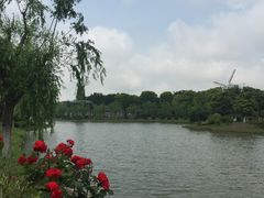 -上海鲜花港