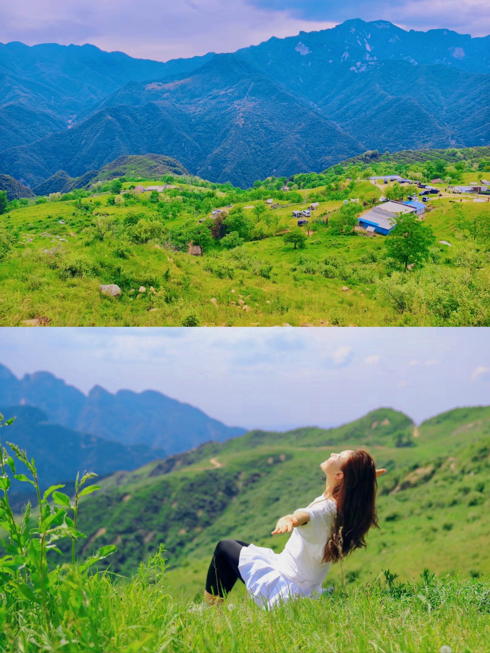 西安1.5h可达秦岭"阿勒泰",流峪高山草甸