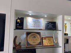 -车艺佳龙膜隐形车衣汽车贴膜(宝山丰宝店)