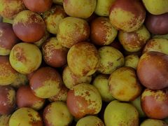 -西郊国际农产品交易中心