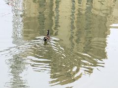 -前关湿地公园