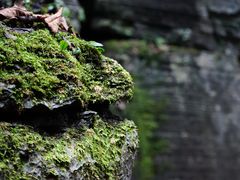 -梭布垭石林景区