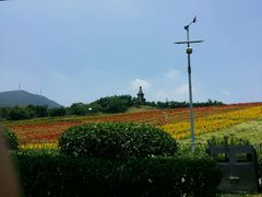 -东部华侨城