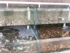 -海岸风情蒸汽海鲜自助餐厅(家宴金手勺店)