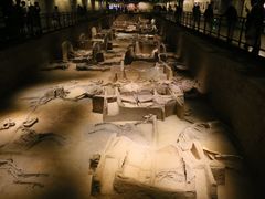 -洛阳周王城天子驾六博物馆