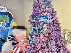 -重庆欢乐海底世界