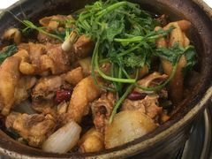 渝君鸡煲-渝君重庆火锅(嘉宾路店)