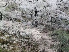 -太平小镇主题餐厅徽宴府