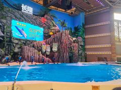 -珠海长隆海洋王国