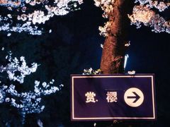 -武汉大学-樱园