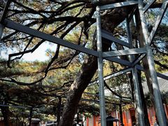 -红螺寺