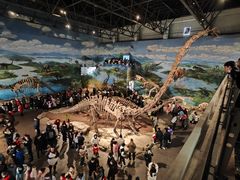 -自贡恐龙博物馆