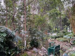 -成都市活水公园