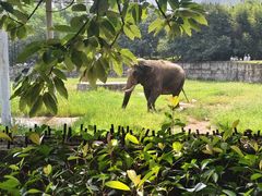 -西安秦岭野生动物园