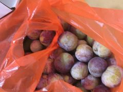 -老袁家蜜桃农场·阳山水蜜桃