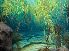 -上海海洋水族馆