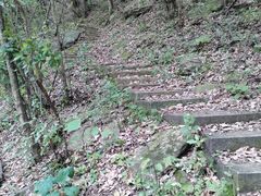 -燕子河大峡谷天坑仙境