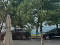 -一杯海(国际海水浴场店)