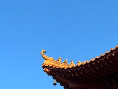 -深圳仙湖植物园